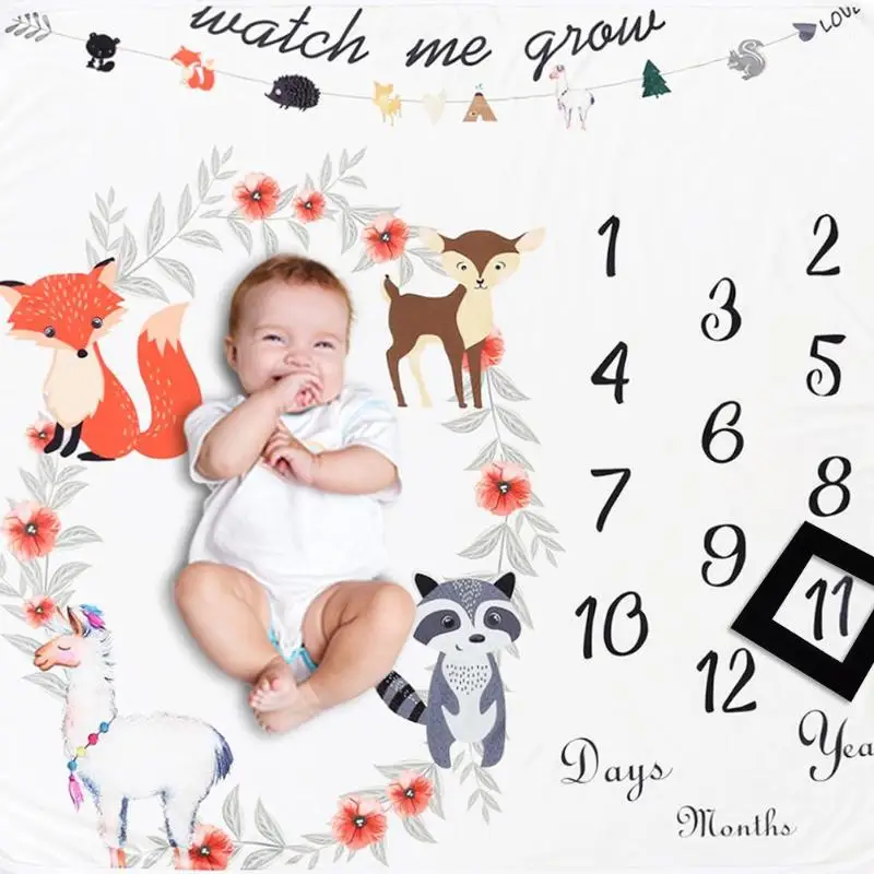 baby calendar blanket