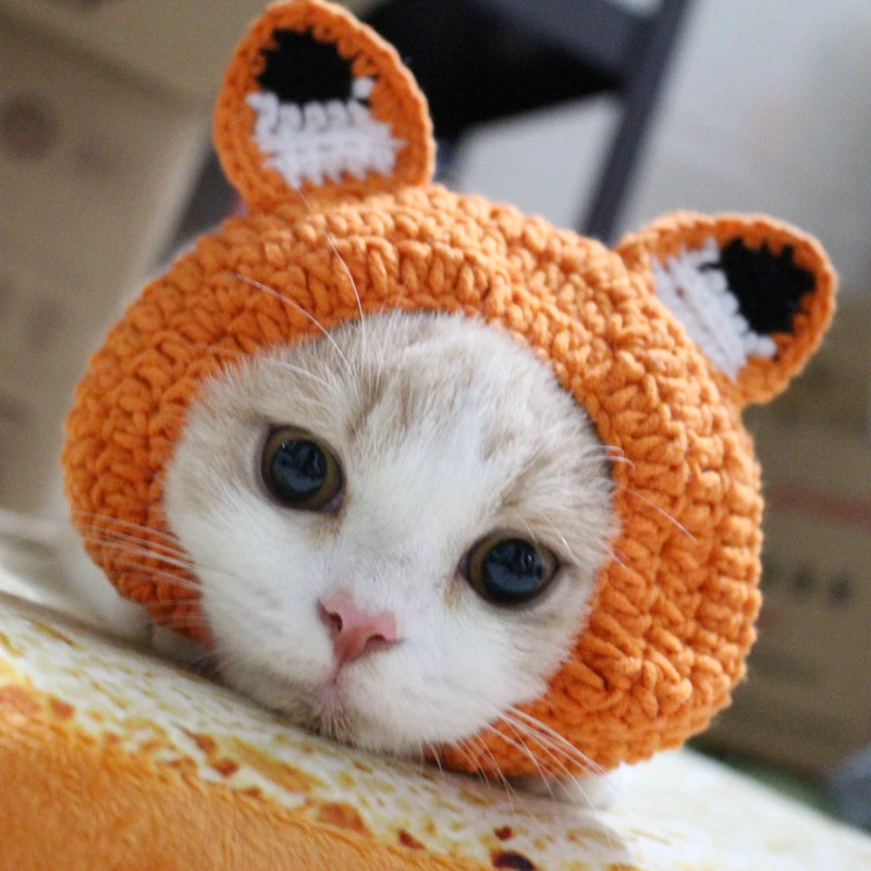 Котика в шапке