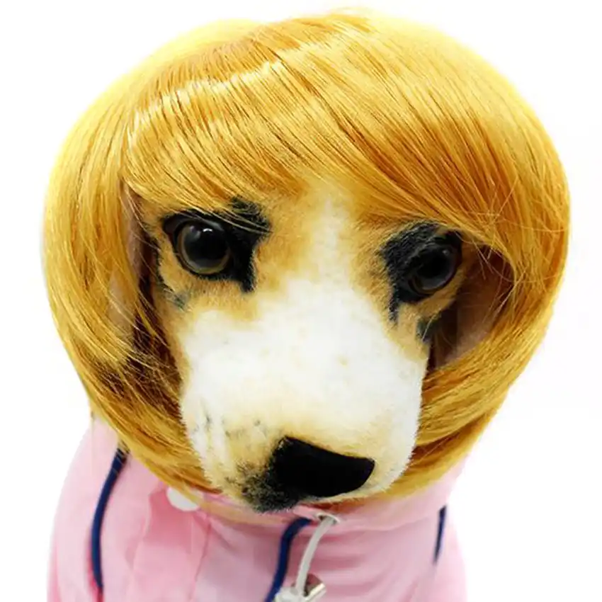 Fashionable And Soft Synthetic Hair Blonde Dog Short Straight Wig