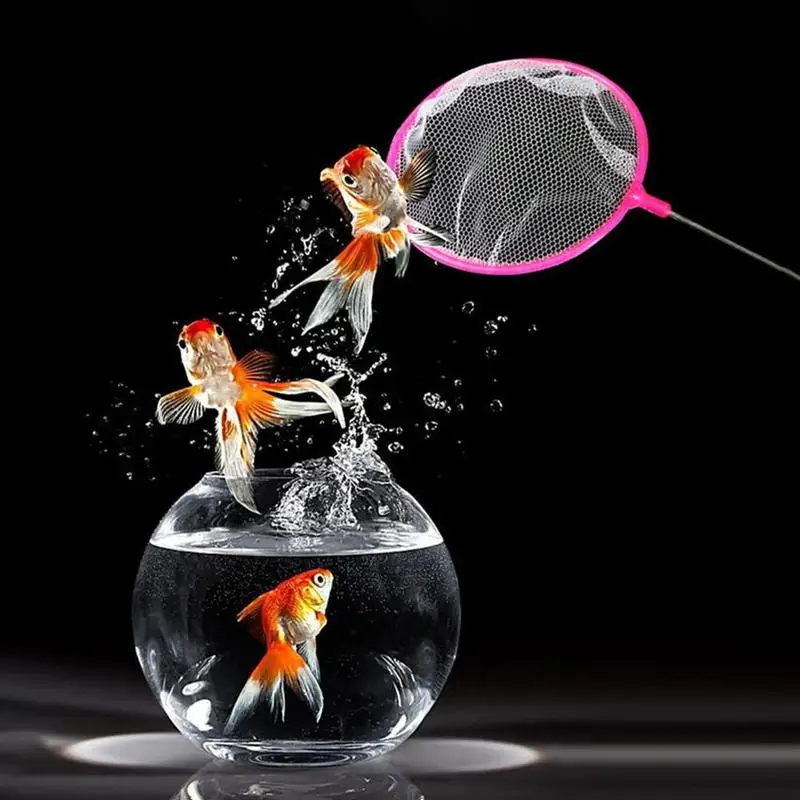 

5 pcs brine shrimp tools artemia filter net ultrafine mesh fish net Fishing Tank Net Plastic Round Thick Fish Shrimp Aquarium