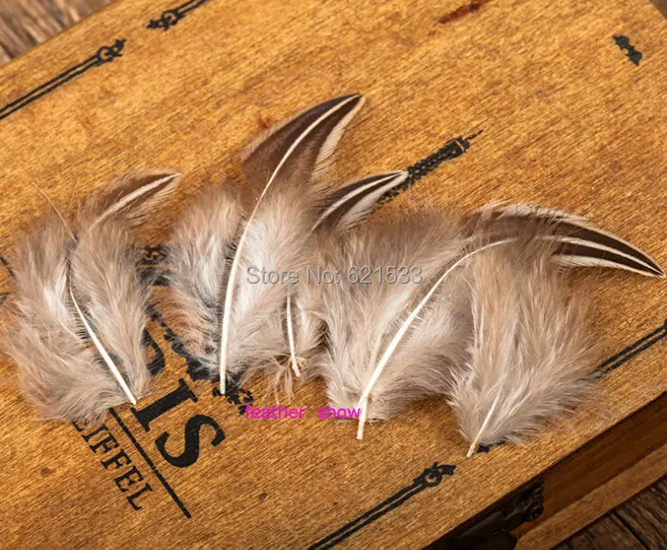 

50Pcs/LOT! 5-10cm India Pheasant Feathers -Natural Pointy Feathers -Craft feathers-Perfect for Earrings,Home Decor & Millinery
