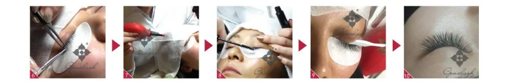 Feixes de Cílios dos Fãs de Genielash Premade para Extensões de Cílios de Volume Cílios de Maquiagem Fácil Escolher Cílios Pré-fabricados 6d 31 High Quality Beleza e saúde