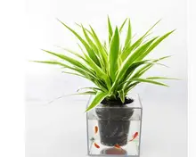 Free shipping,15*15cm,big Creative fish flowerpot automatic lazy pots transparent desktop plants potted fish tank water peach