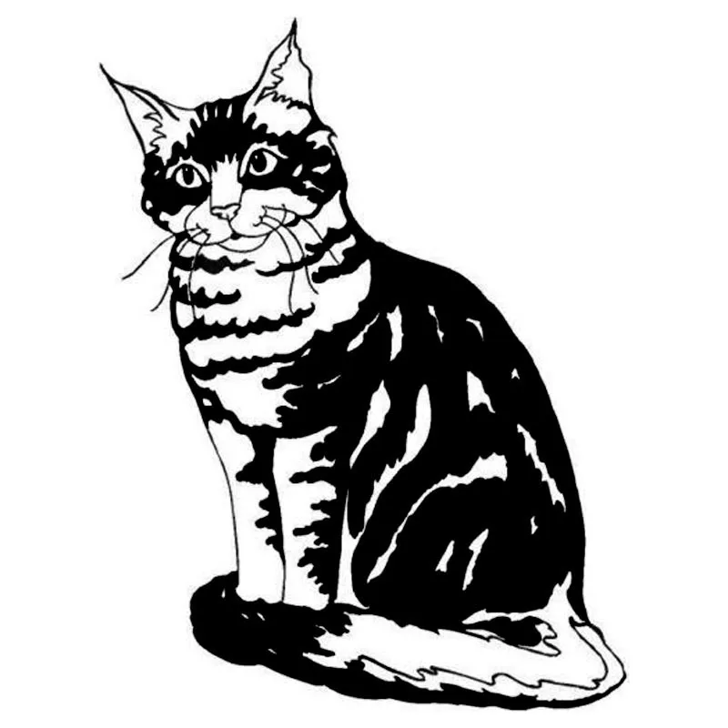 

9.7*12.7CM Main Coon Cat Vinyl Decal Stylish Car Stickers Car Styling Motorcycle Accessories Black/Silver S1-1425
