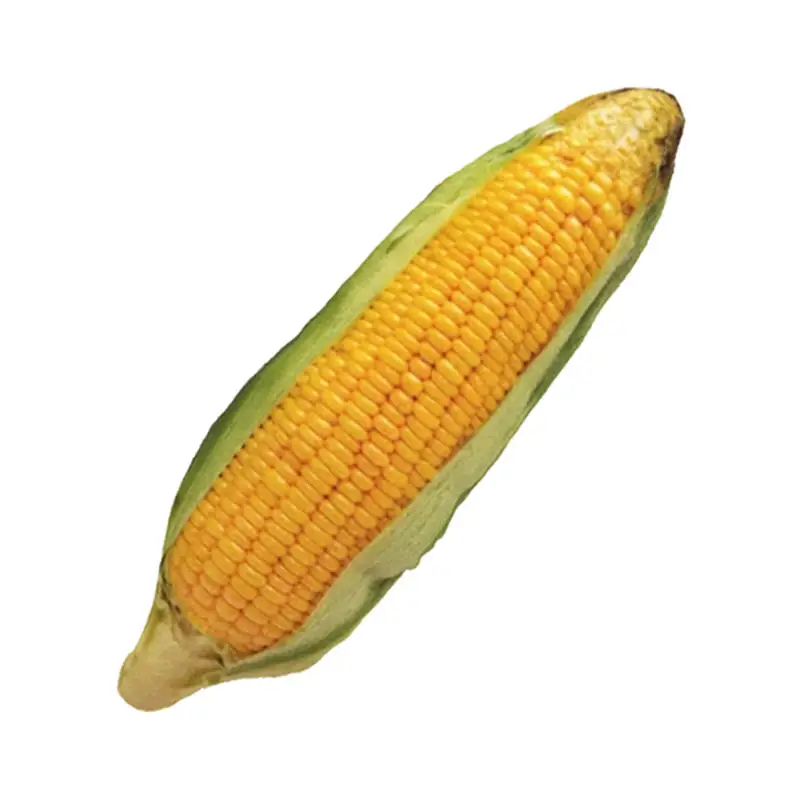 -1