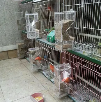 

Seeding Tidying No-Mess Bird Feeder parrot food feeding bowl breeder canary cockatiel finch Colorful Munia NEW Free Shipping