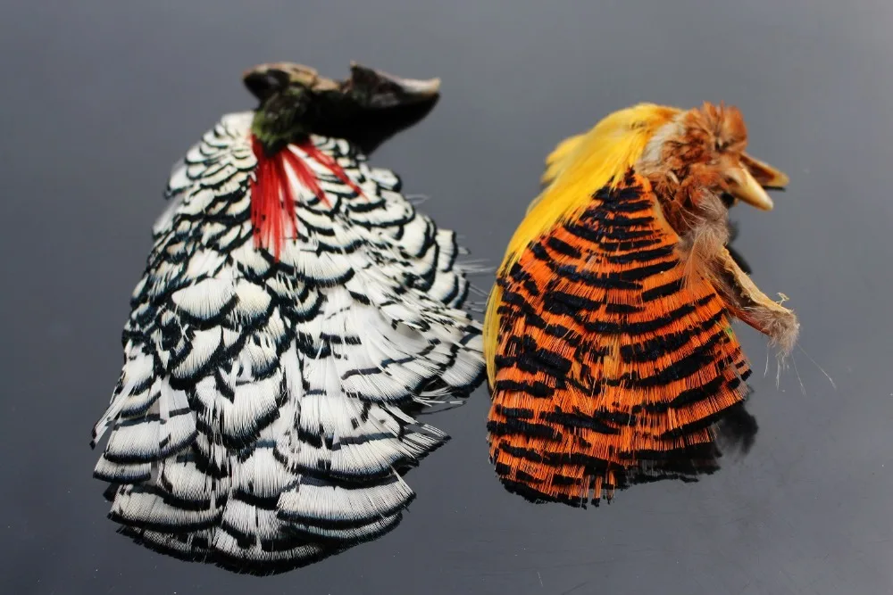 Tigofly 2 pcs Assorted Natural Golden White Lady Amherst Complete Pheasant Head and Crest Salmon Fly Tying Feather Materials