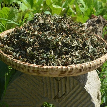 

Prodgf 500Gram A Set HERBA HOUTTUYNIAE