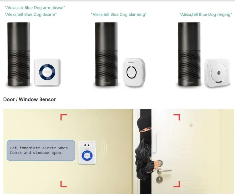 alarme maison alexa