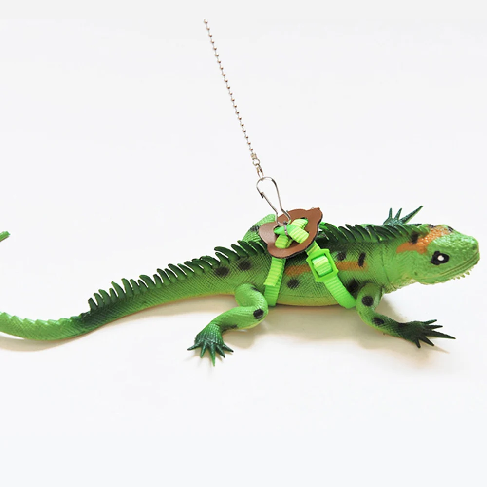 

Lizards Iguana Reptiles Traction Rope Turtle Squirrel Amphibian Small Animal Accessory Hamster Tortoise Harness Hedgehog Product