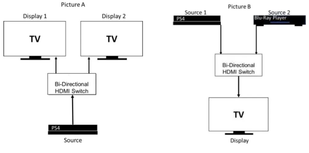 BI221 DIAGRAM_proc