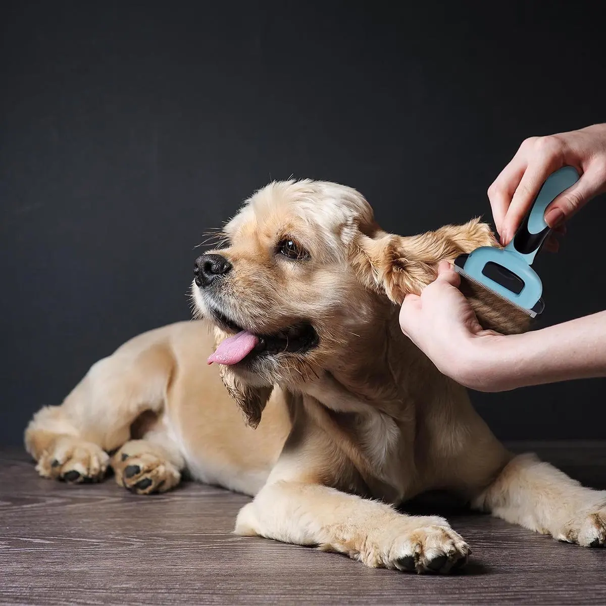 Pet cleaning products pet comb dog hair removal comb pet hair removal brush PB-006