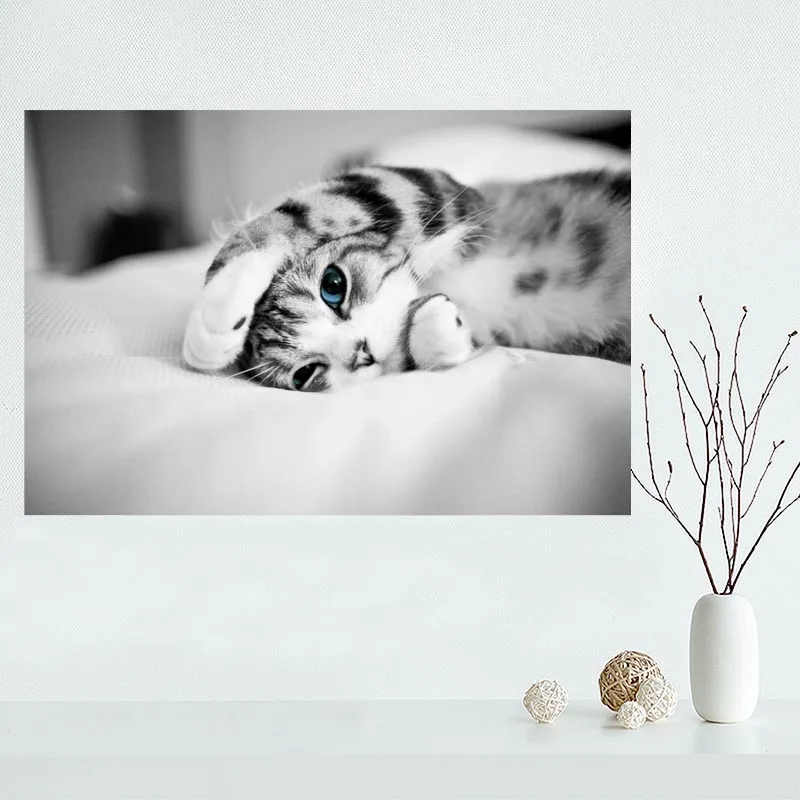 Hot Sale Custom cat canvas poster Home Decoration Wall Art High Quality cloth Silk Fabric wall print | Дом и сад