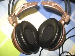 W1000 (3)
