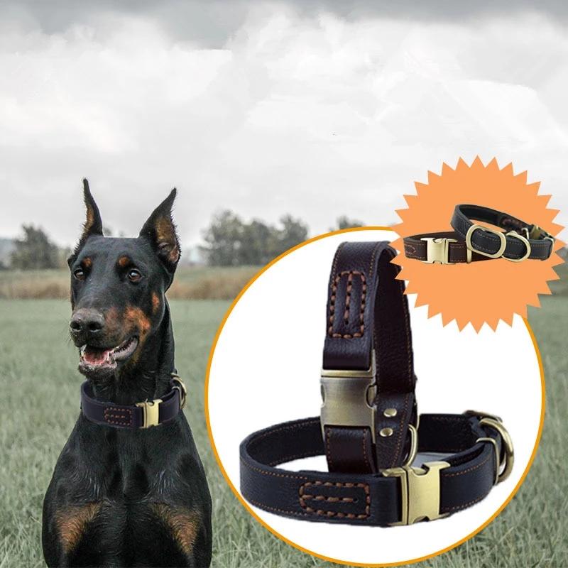 Top quality dog collars Clearance