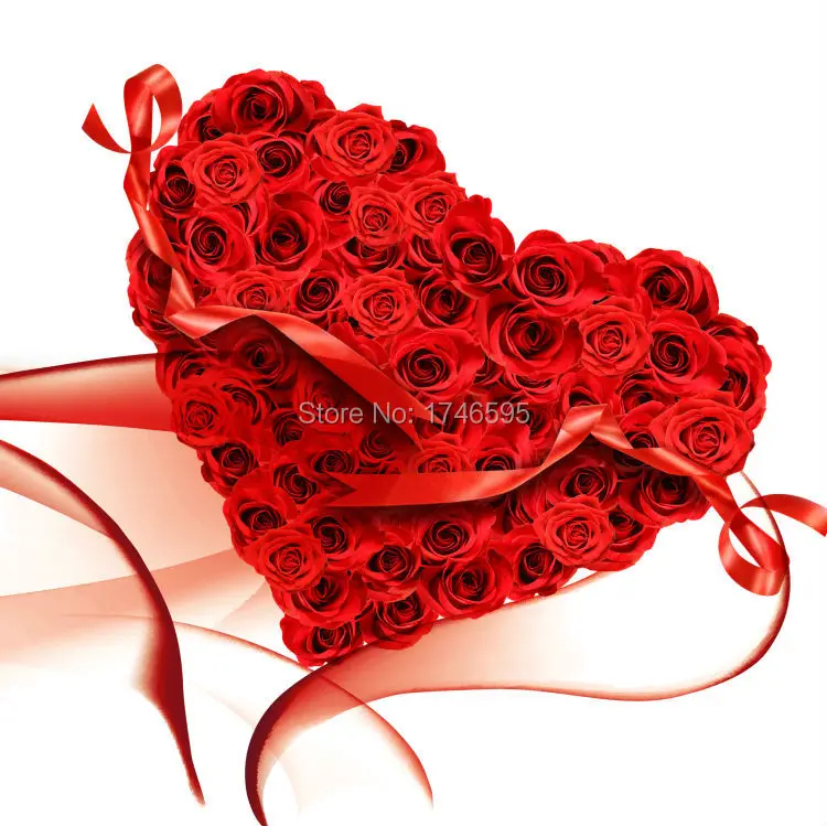 red heart rose flower-3