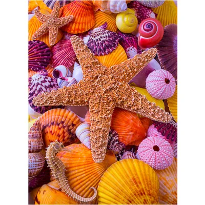 

5d diy diamond embroidery Starfish Landscape Diamond Painting Full drilling Christmas gift birthday present