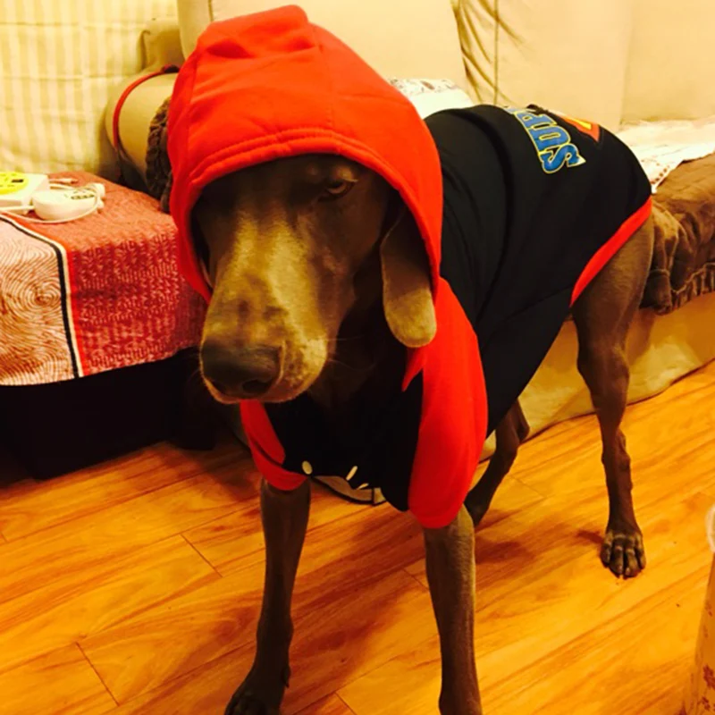 TB2Lagsa3xlpuFjSszgXXcJdpXa_!!0-rate