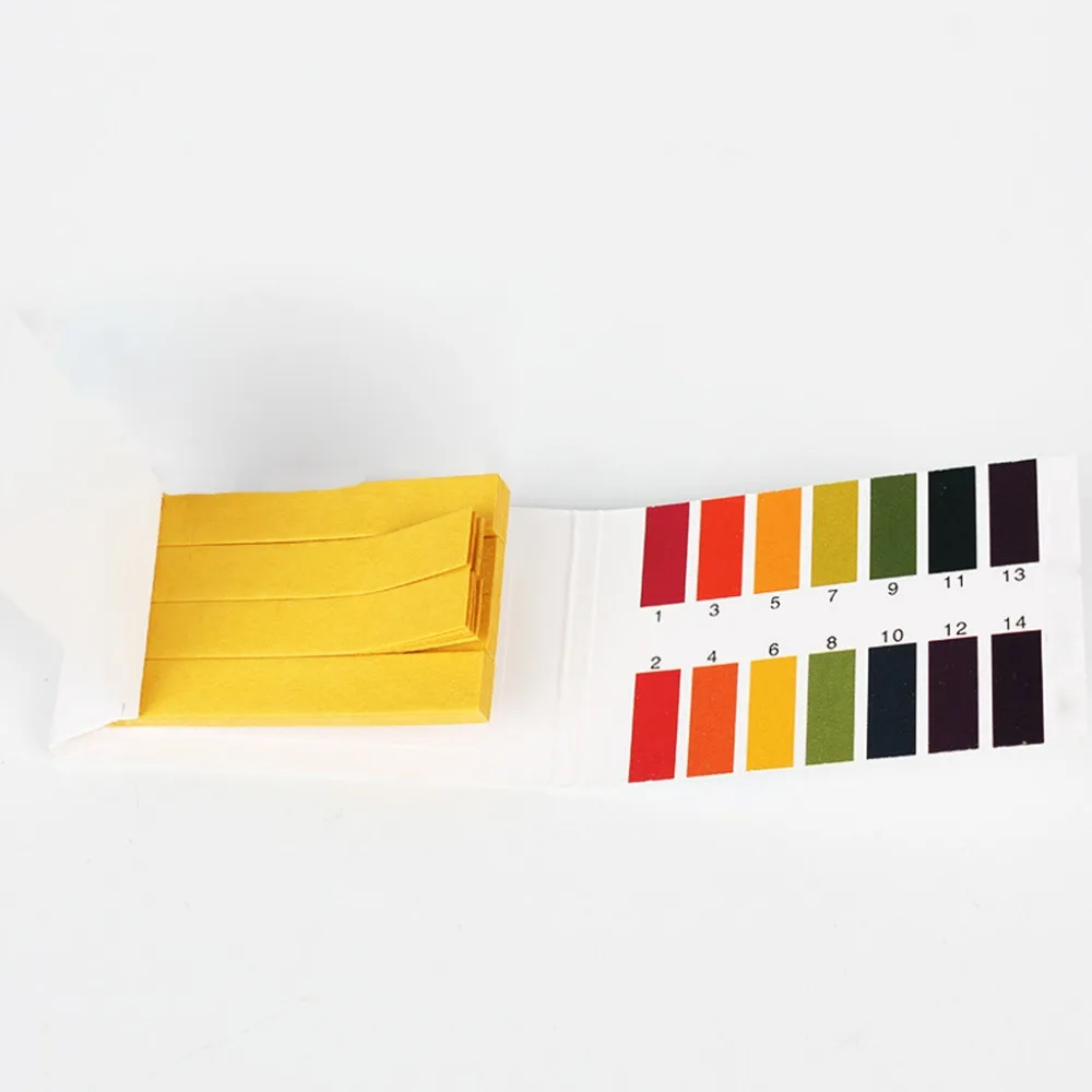 WBF90118031_2019011809331157621