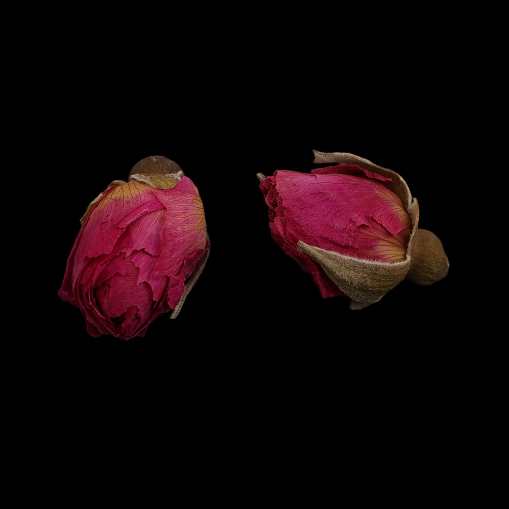 8g Bulk Sale Popular Natural Real Dried Flowers for Art DIY Craft Jewelry Making Resin Casting Rose Flower Globe Amaranth