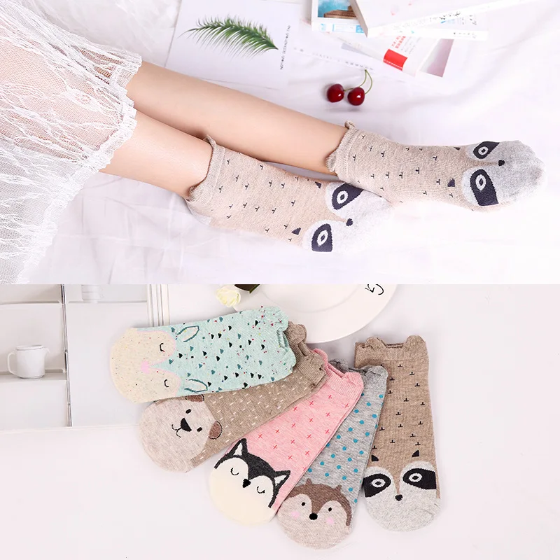 8938949406_697284570