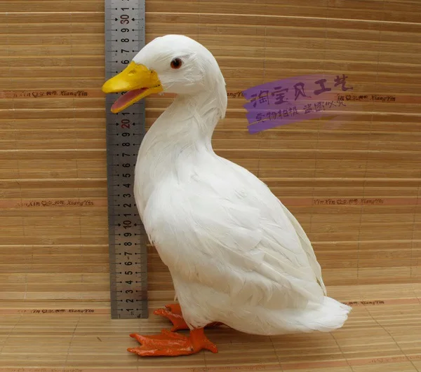 white duck plush