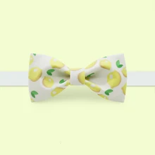 Новая мода мужской бренд ручной работы галстук бабочка с принтом банкетные вечерние платья жениха лимон уникальный