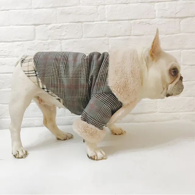 Dogs Winter Coat 2