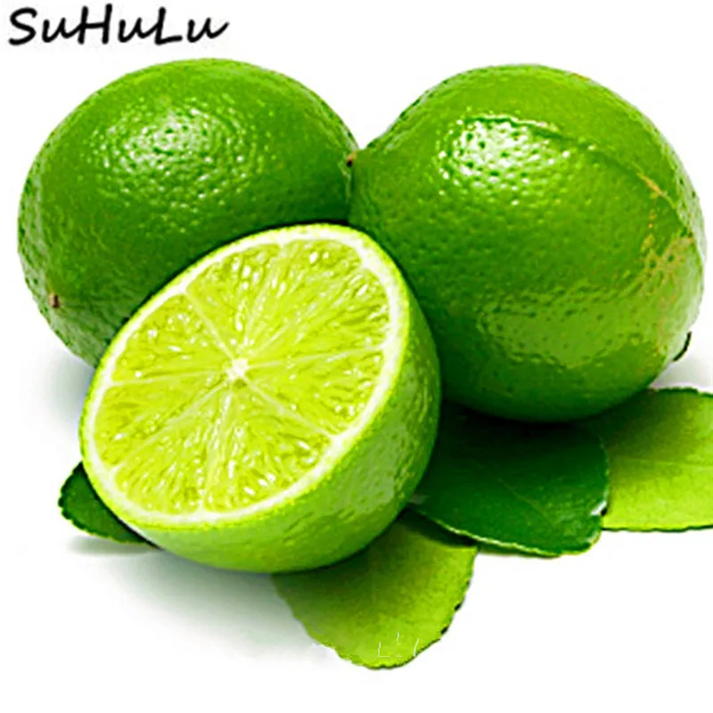 

50 Pcs / Bag Aurantifolia Lemon Citrus Aurantifolia Organic Fruit Bonsai Organic Fruit Kaffir Lime Plants Tree For Home Garden
