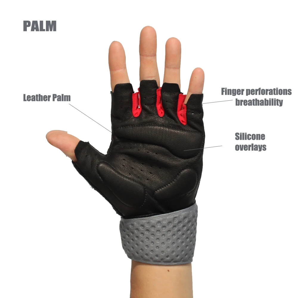 palm 