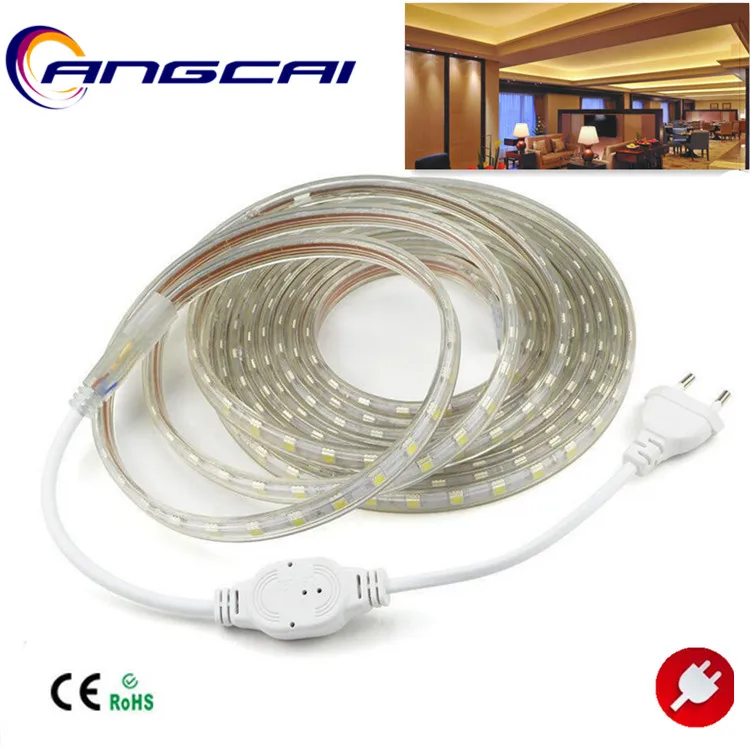 cheap led strips strings Mood Lighting 110V 220V 1M 40M 60Led Waterproof High brightness flexible Resin outdoor indoor decoration IP67