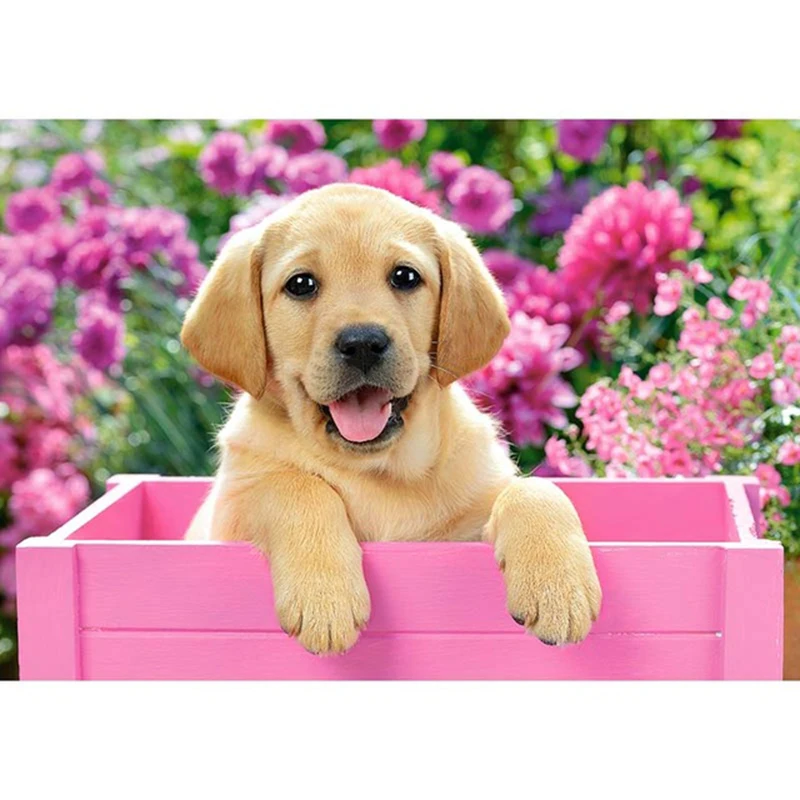 Full Square Drill Diamond Embroidery Dog Needlework Cross Stitch Set Painting Animal Home Decor Mosaic XY1 | Дом и сад