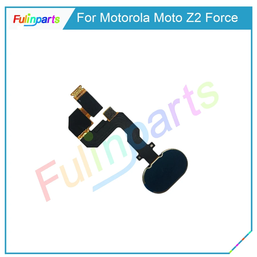 Z2 Force  30 (1)