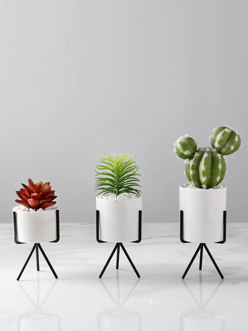6plant pot