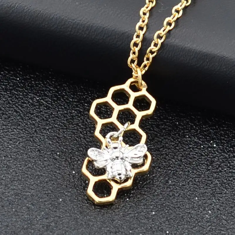 XL025 (6)