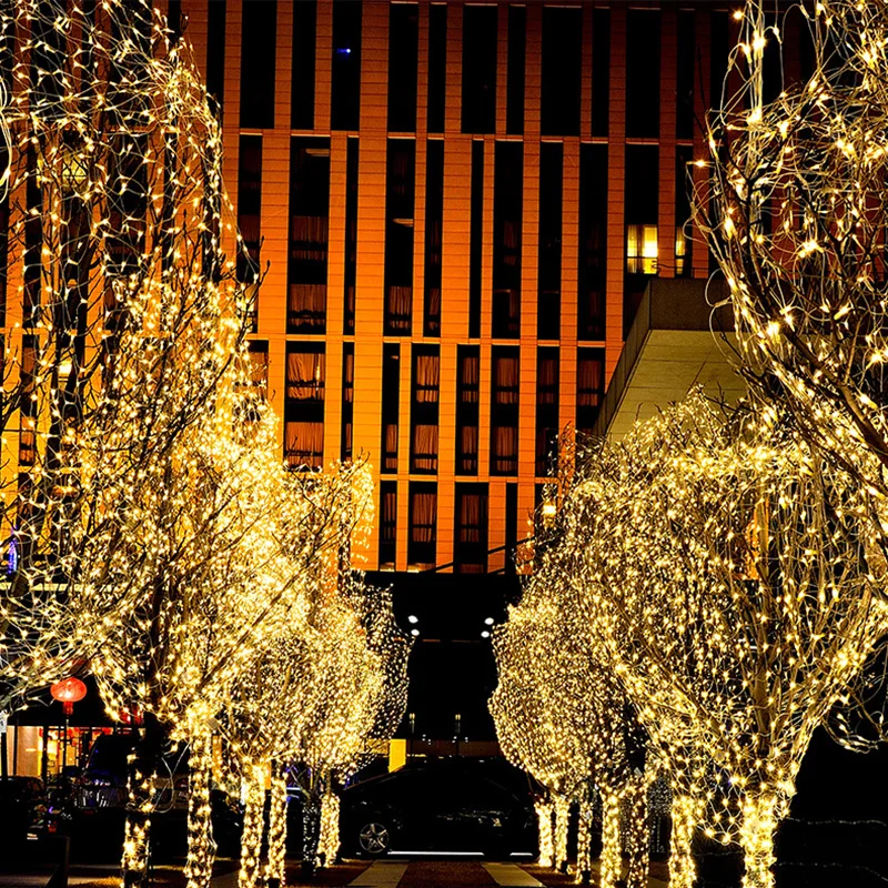 10m-220V-LED-Light-New-Year-Decor-Strap-Lamp-White-Christmas-Decoration-For-Home-Garden-Outdoor (1)