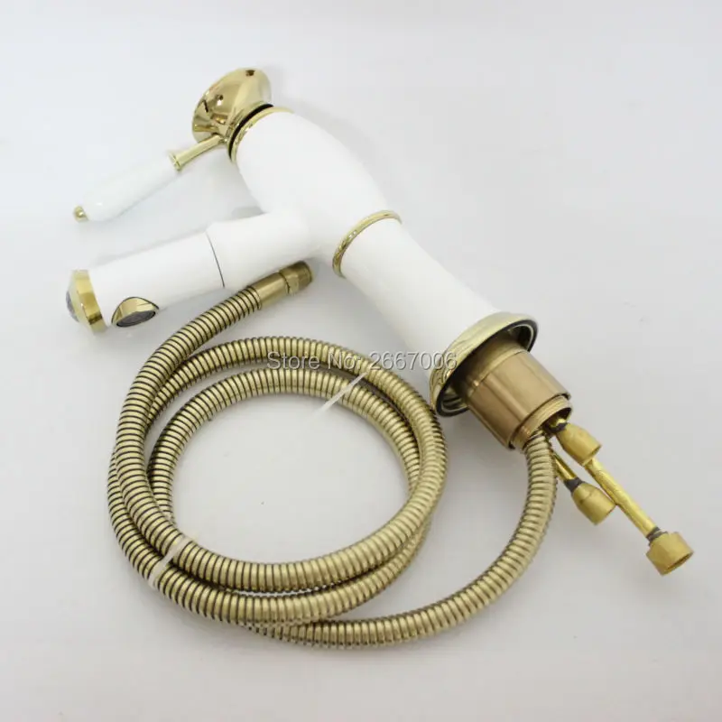 ZR584 (12)