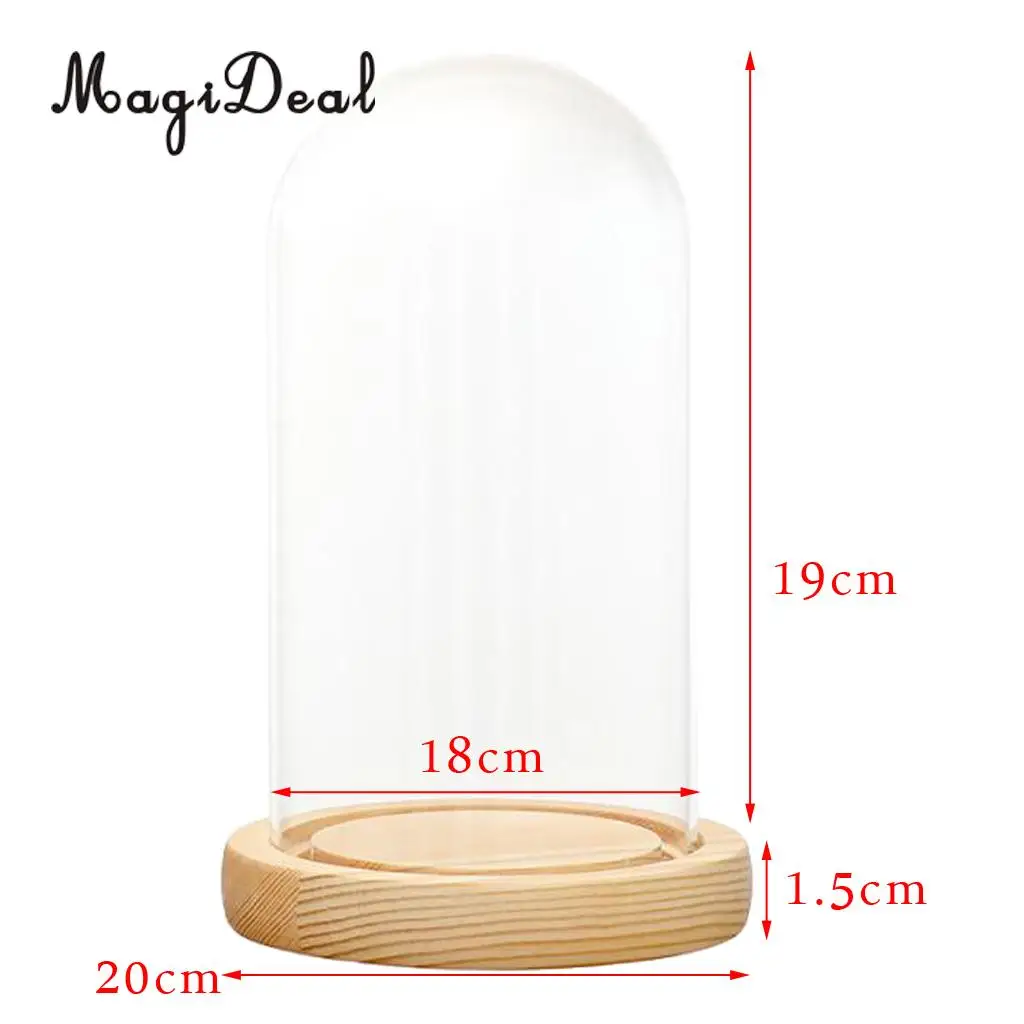 MagiDeal Mini Clear Glass Hemisphere Cloche Cover Dome Light Up Cabochon Bell Succulent Terrariums Air Plant Covers With Cork	
