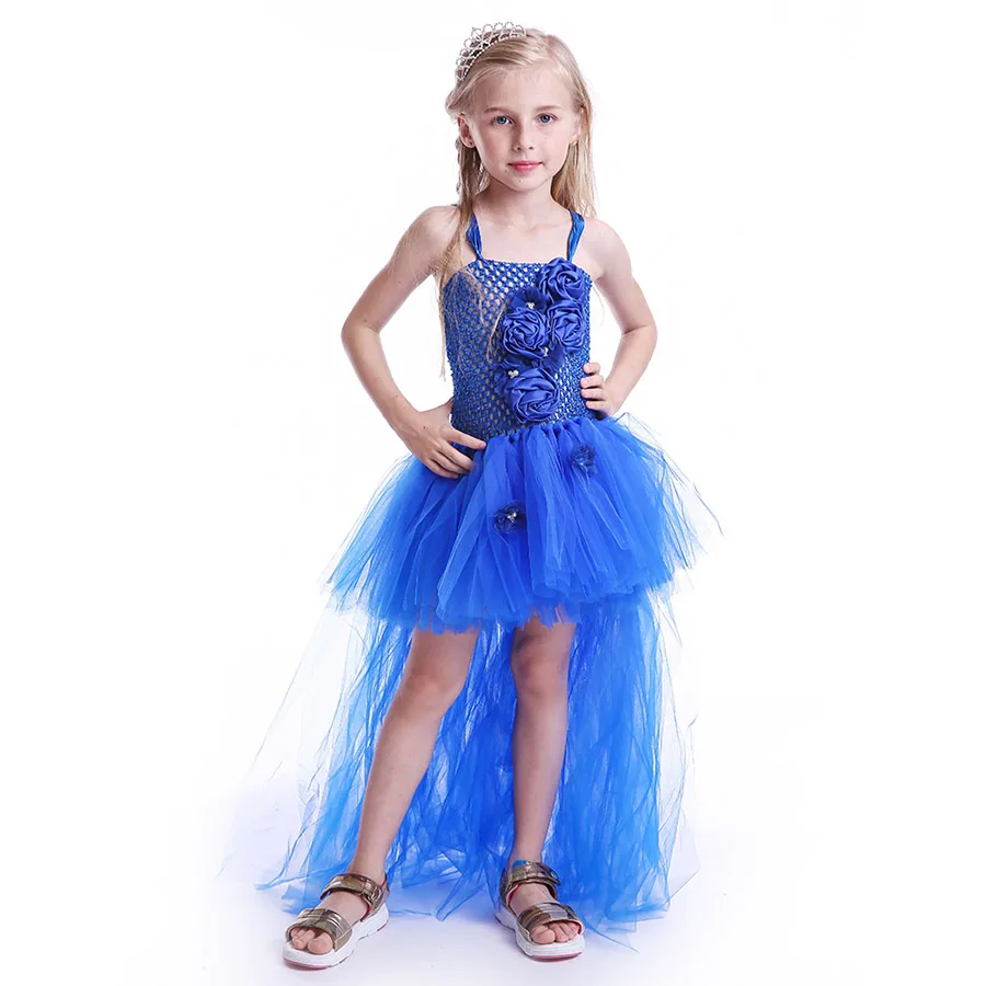 Kids Princess Blue Flowers Long Tail Tutu Dress Baby Girls Summer Tulle Wedding (8)