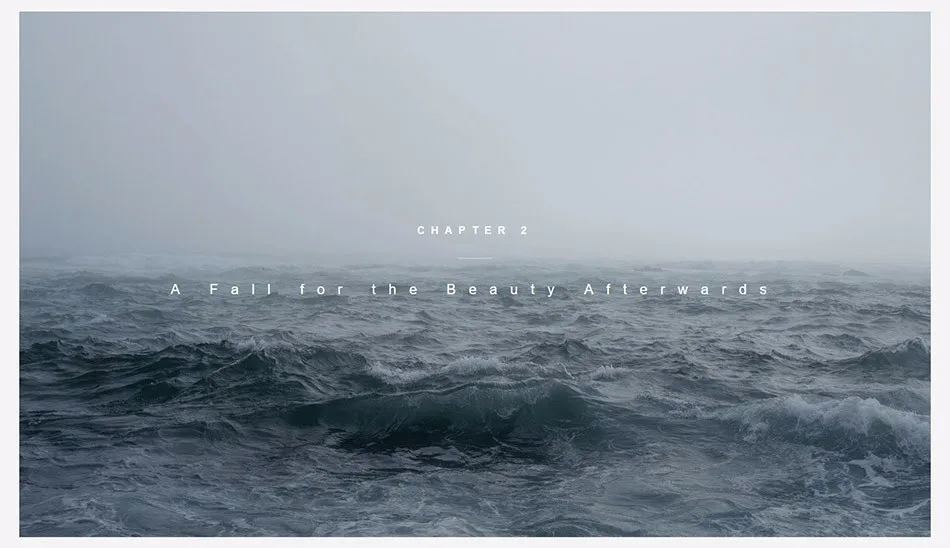 Xiaomi Mi Hybrid Pro Earphone Circle Iron Pro Triple Unit Dual Dynamic Balanced Armature Mic Graphene (8)