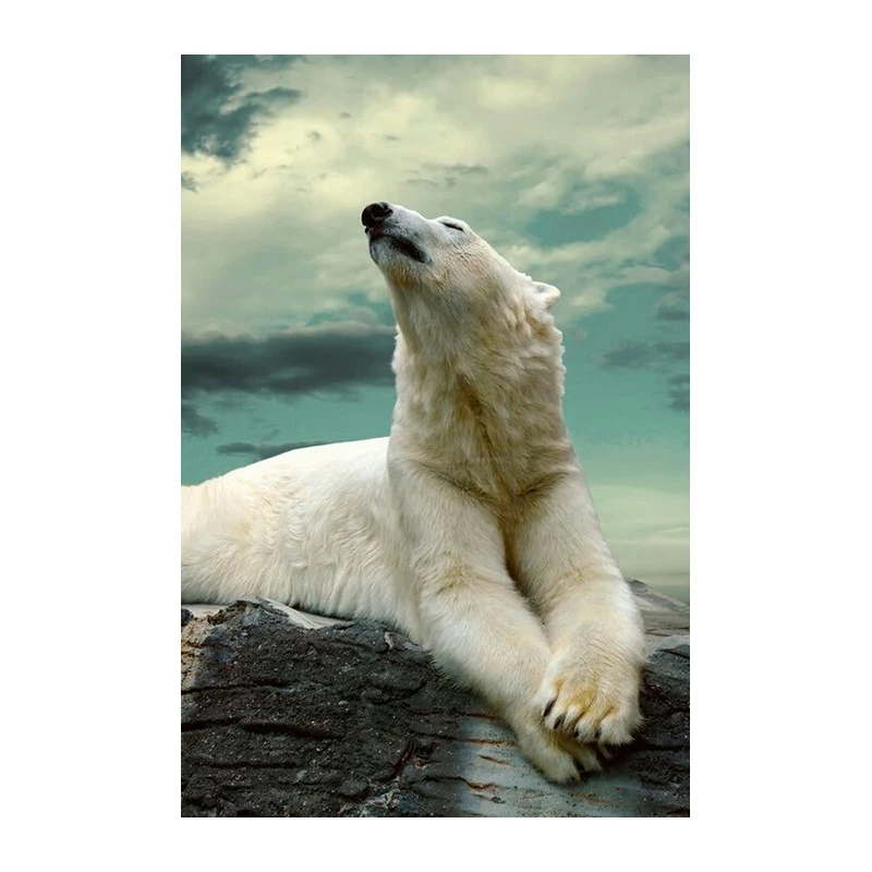 Diamond Painting Northern Baby Polar Bear DIY 5D Rhinestone Mosaic Cross Stitch Embroidery Set Needle WHH | Дом и сад