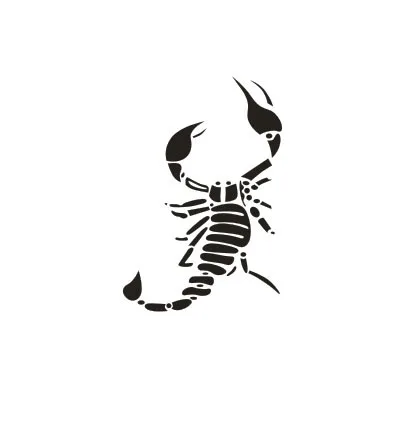 Scorpion Car Sticker Door | Автомобили и мотоциклы