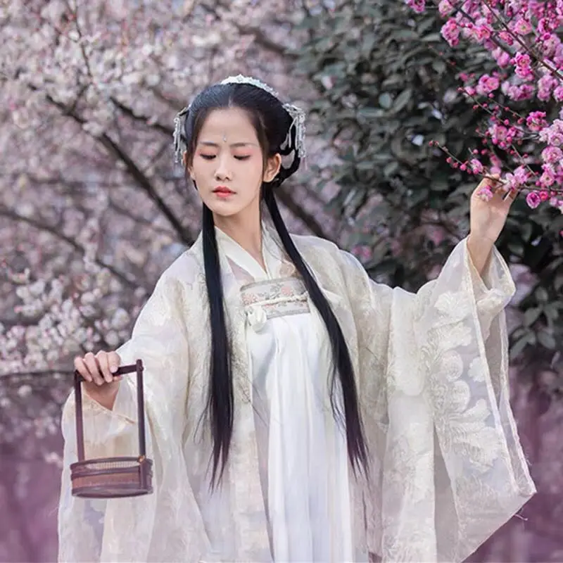 

Chinese Traditional Costume National Hanfu Outfit Stage Dress Ancient Han Dynasty Princess Clothing Folk Dance Costume DQS1625