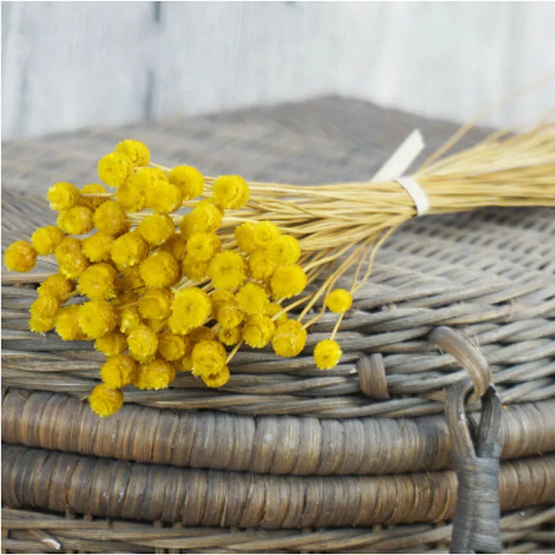 

50pcs Natural Art Dried Flowers Arrangement Floral DIY Eternal Artificial Flowers for Home Living Room Garden Decor Photo Props