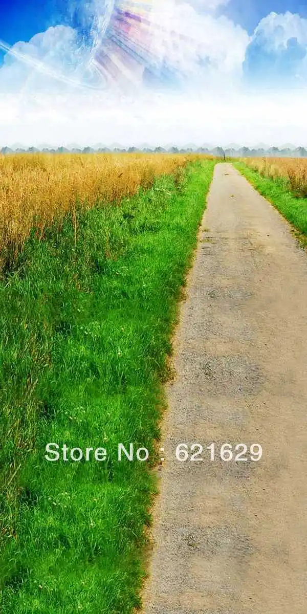 

Boundless landscape 10'x20' CP Computer-painted Scenic Photography Background Photo Studio Backdrop ZJZ-147