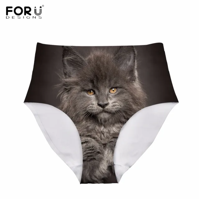 maine coon pussy Sexy see thru panites