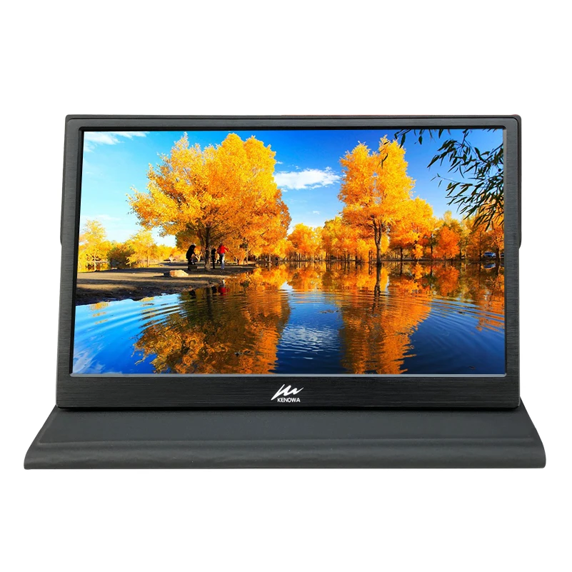 

13.3 Inch CNC 11mm HD LED Portable Monitor 1080P PC IPS Aluminum Alloy Shell,2 Mini HDMI Port,Leather Care for PS4/PS3 Gaming