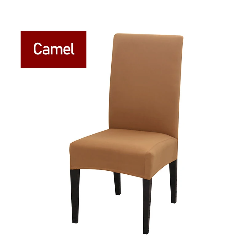 Camel