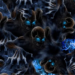 Free shipping 0.5mX2m/10m blue eyes skulls water transfer filmTSKR9010B hydrographics printing film for car