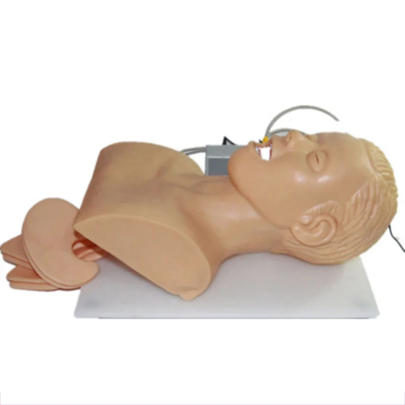 220V Intubation Manikin Учебная модель ПВХ Airway управление тренером медицинская школа студенческий образовательный обучающий источник